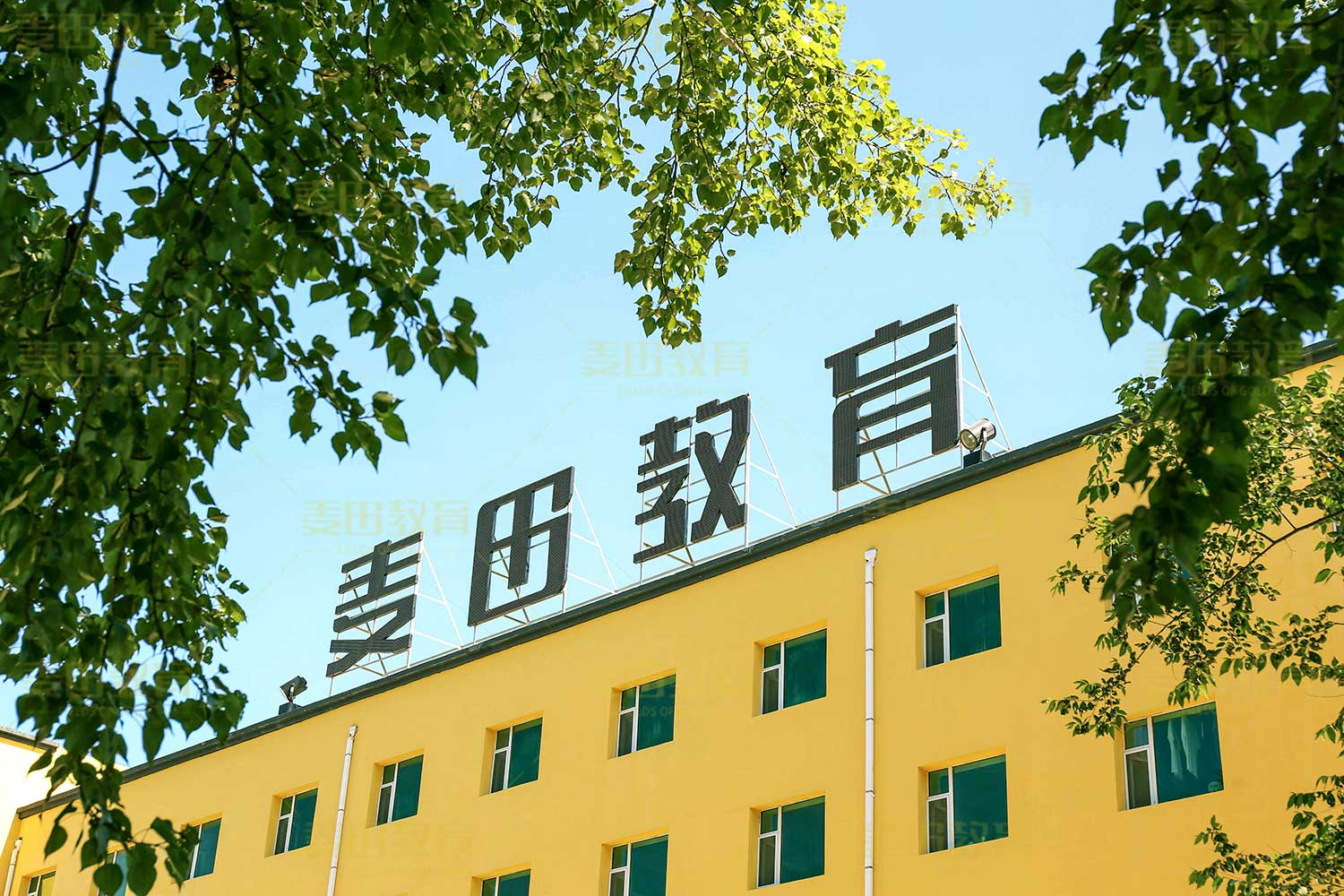 长春高三文化课全日制培训学校